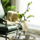 茶桌玻璃花瓶透明水培日式中式禅意花器手工创意简约水培插花摆件