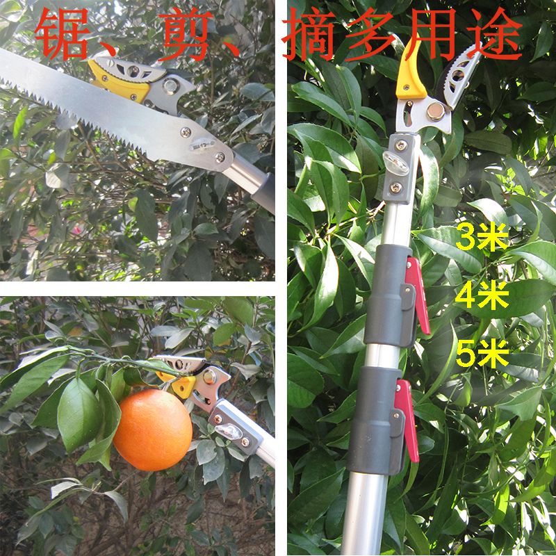伸缩摘果器高枝锯采果修枝剪3/4/5米杨梅轻便型3米修剪刀加长剪刀|ruв категории доставка цветов/цветок моделирования/растения садоводства, садовых принадлежностей, садоводство/нож/сдвиг/пила (новый), ножницы - от Buy2taobao.com для оказания профессиональной услуги покупки агента Taobao