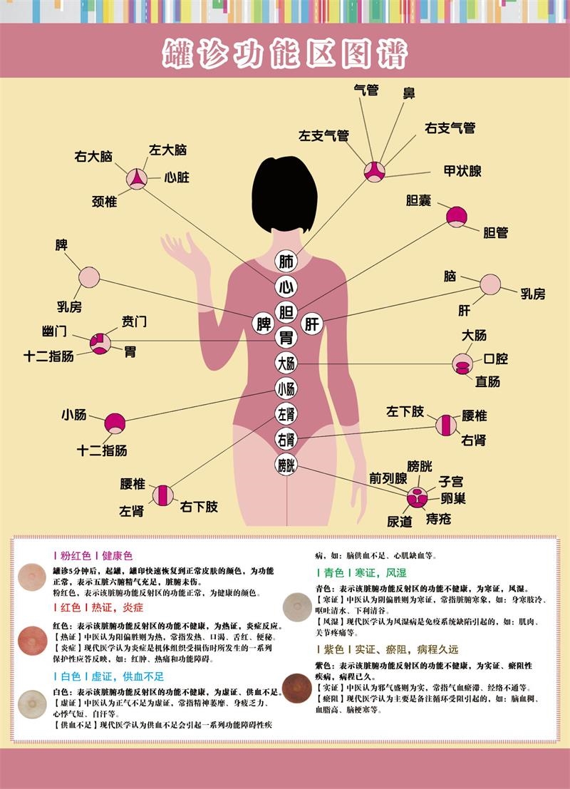 罐诊背部颜色判断图片图片