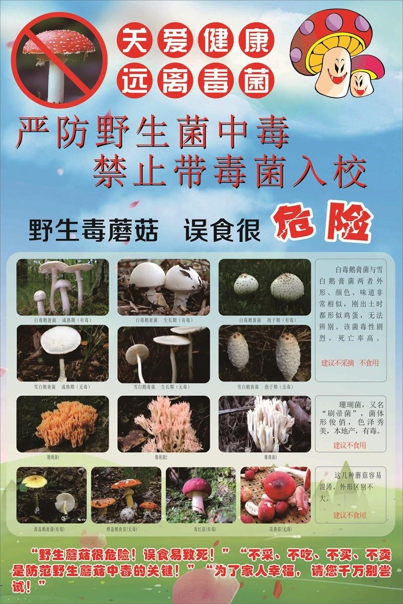 野生毒菌毒蘑菇严防野生菌中毒禁止采食用毒蘑菇标示警示牌海报印