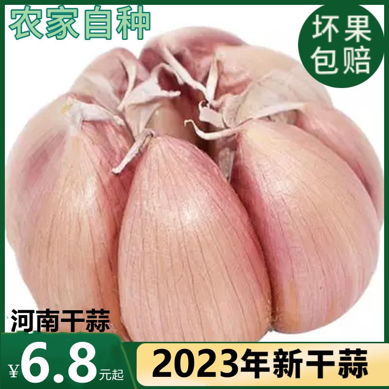 河南农家干大蒜5斤大蒜头干蒜新鲜大