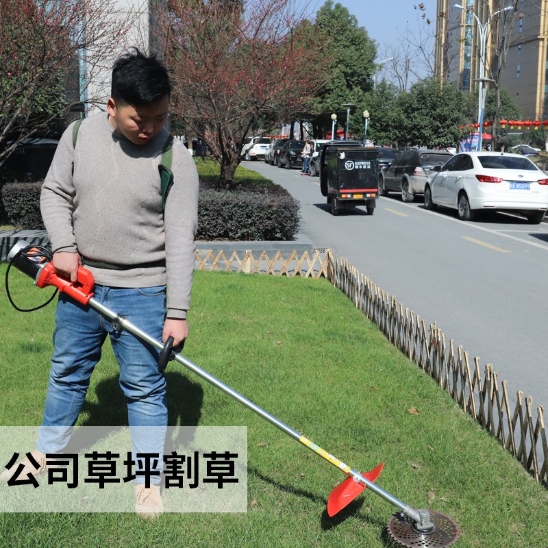 割草机电动铲草机充电式多功能开荒打草小型家用刮草机除草机农用|ruв категории доставка цветов/цветок моделирования/растения садоводства, садовых принадлежностей, косилка/газонокосилка - от Buy2taobao.com для оказания профессиональной услуги покупки агента Taobao