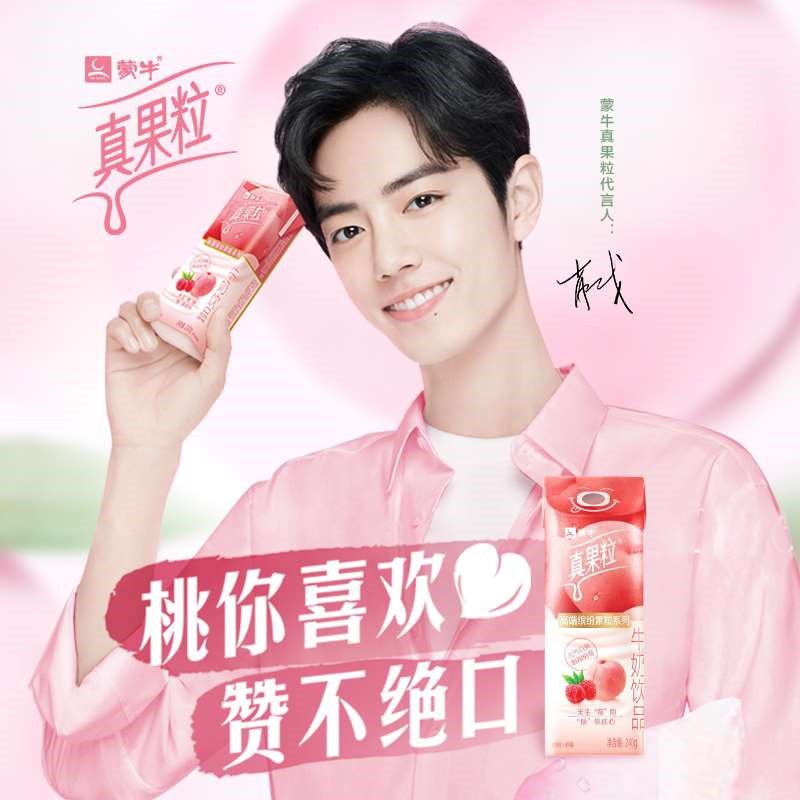 热销礼盒樱花树_真果粒白桃树莓肖战同款10盒装花果轻乳樱花白桃礼盒