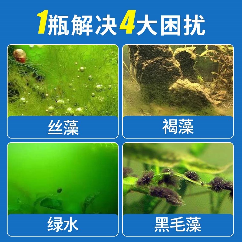 鱼缸除藻剂绿藻去苔剂青苔清除神器绿水褐藻丝黑毛藻克星
