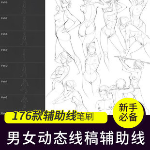 男女人体结构线稿临摹辅助线服装设计运动姿态procreate基础笔刷