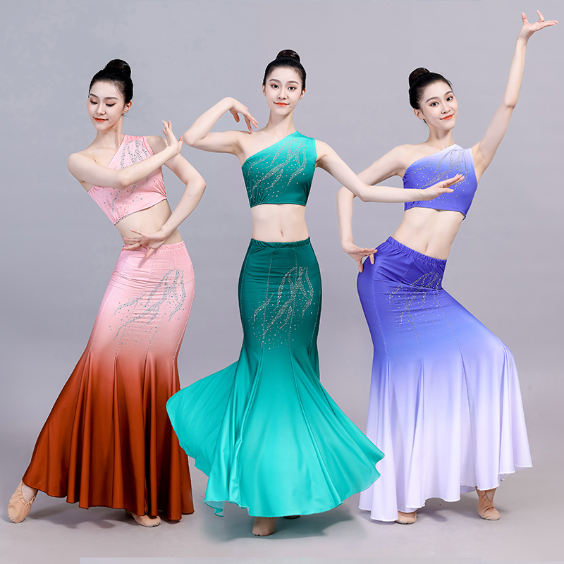 西双版纳傣族舞蹈服装女成人演出服练功舞裙孔雀舞艺考鱼尾半身裙