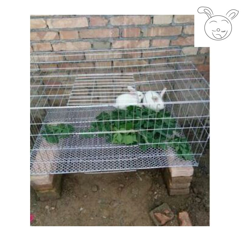 兔笼荷兰猪用品兔子笼子宠物养殖特大号大号超大兔子笼兔