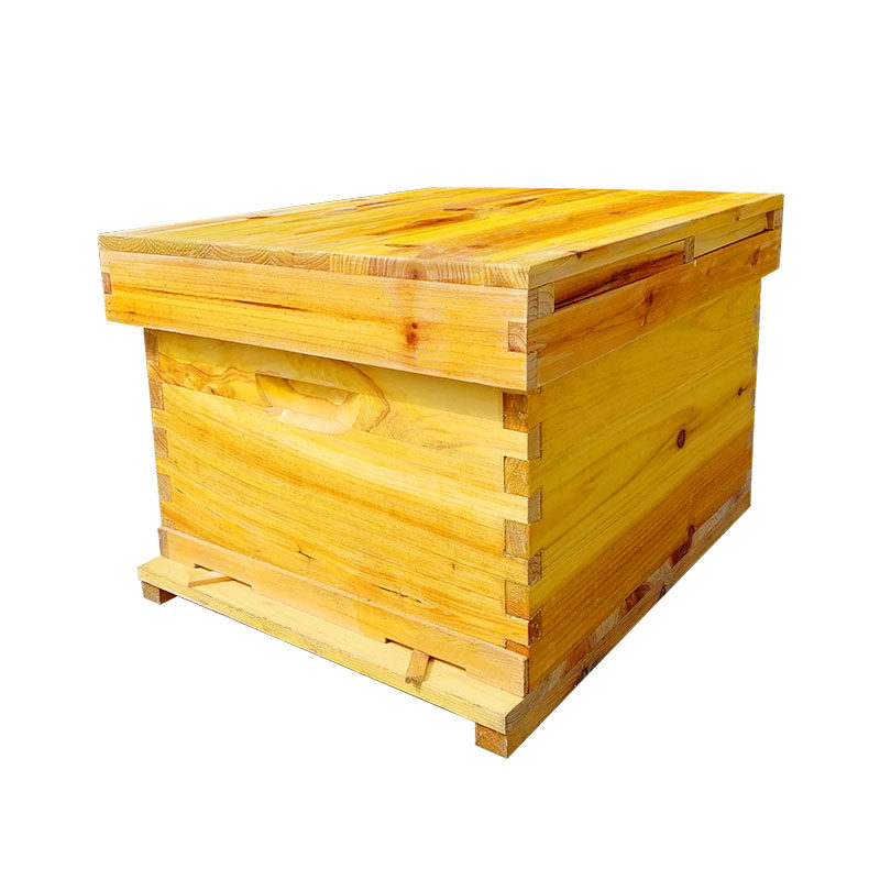 蜂箱七框全杉木烘干蜜蜂箱养蜂箱继箱养蜂巢中蜂隔王板蜜蜂箱大箱