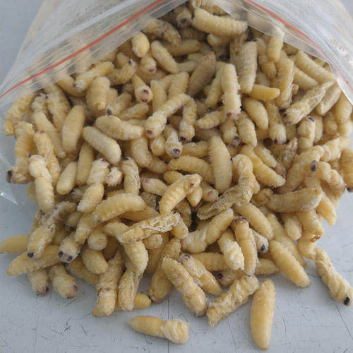 龙门蜂蜜小店雄蜂蛹500克