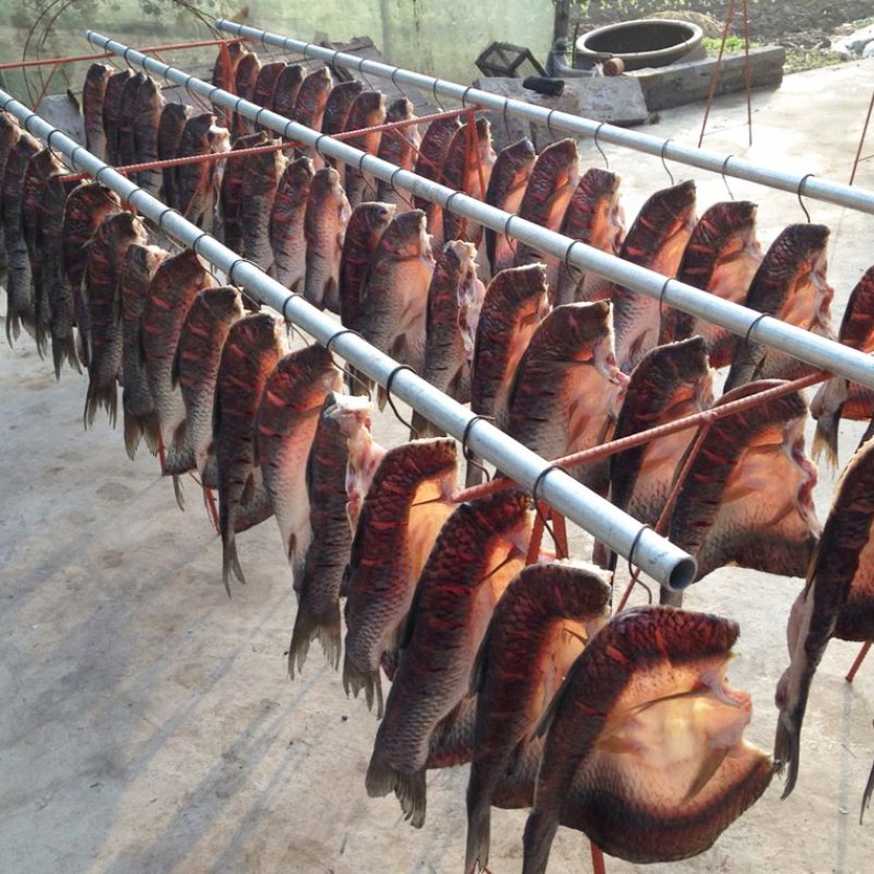 湖北特产风干鱼腊鱼块草鱼阳干鱼咸鱼干干鱼干货农家自制腊肉荆州