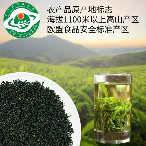 19年新茶五峰绿茶香茶日照高山云雾绿茶浓香炒青茶叶200g装