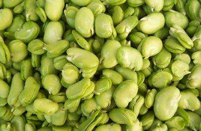 果益膳旗舰店的优惠券大全—新鲜蔬菜蚕豆米胡豆新鲜云南蚕豆米去壳去