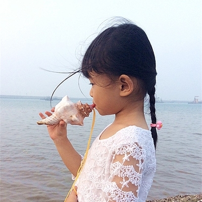 大号海螺摆件价格