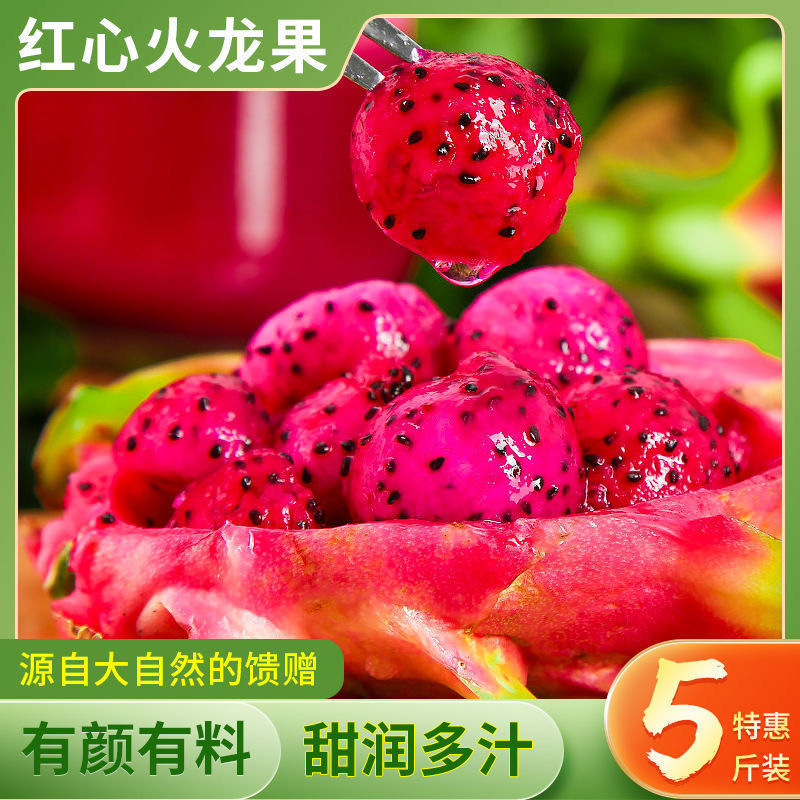 精選直采直發紅心火龍果5斤雲南當季新鮮熱帶水果超甜包郵在類目 水產肉類/新鮮蔬果/熟食, 新鮮水果, 火龍果中 - 來自Buy2taobao.com提供專業的淘寶代購服務