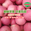 苹果水果新鲜整箱5红富士整箱山东栖霞烟台苹果年货大丑平果10 苹果水果新鲜整箱5红富士整箱山东栖霞烟台苹果年货大丑平果10