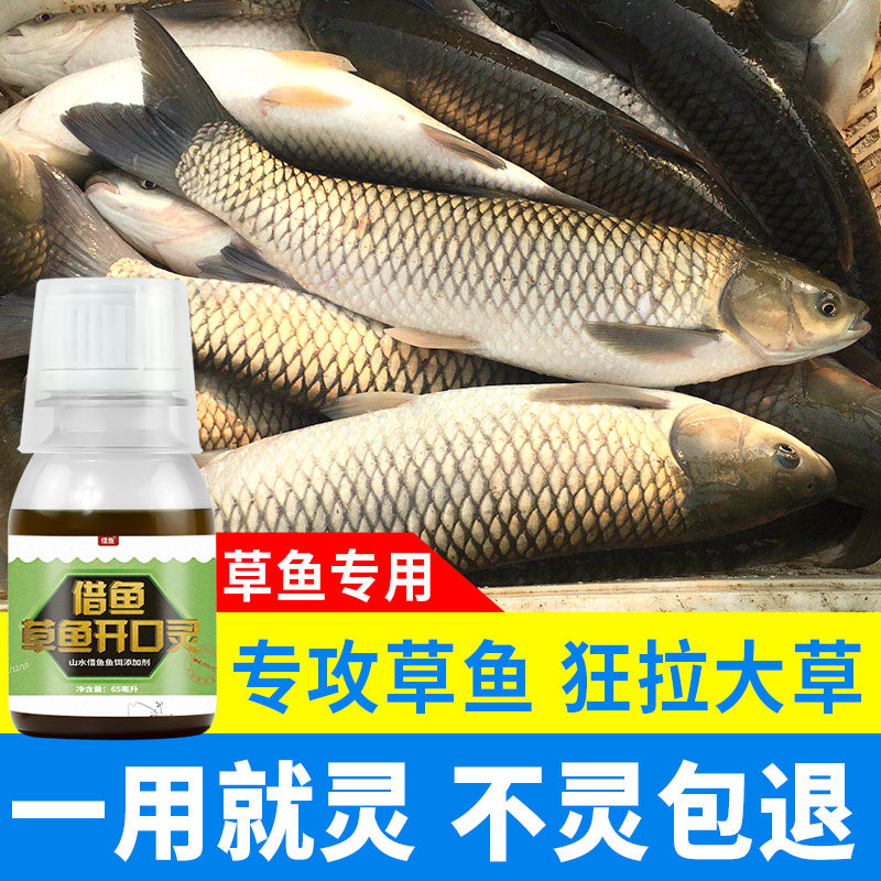 草鱼饵料草鱼专攻