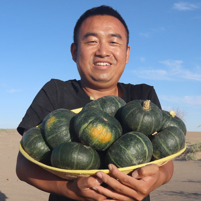 沙漠贝贝南瓜板栗味正宗贝贝小南瓜新鲜5斤果蔬日本老瓜粉糯甜10