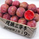 新鲜现摘三华李新鲜水果红心李子当季孕妇酸脆芙蓉包邮5斤农自种