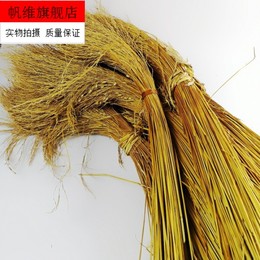 包粽子的稻草绳编织稻草烧灰水编织粑粽子禾杆草芯稻谷草心稻草