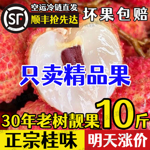 桂味荔枝新鲜现摘广东汕尾花香妃子水果当季整箱顺丰空运5斤10斤