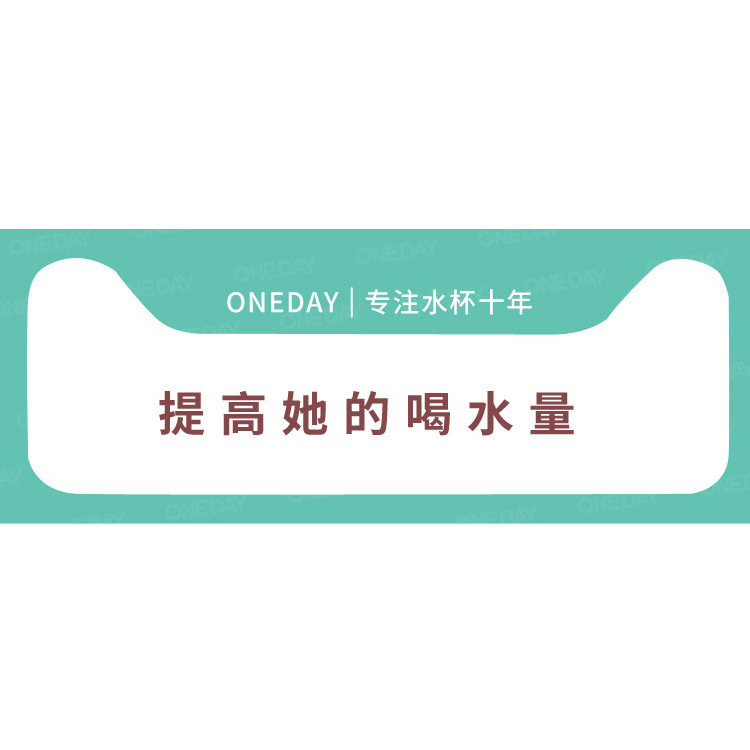 ONEDAY保温杯配件链接tao