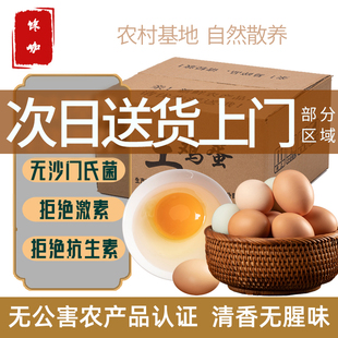 建德千岛湖正宗农家散养土鸡蛋新鲜40枚整箱杀菌蛋放养初生草鸡蛋