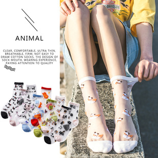 夏季薄款玻璃丝袜 日韩潮流卡通动物透明水晶袜 卡丝女士袜子