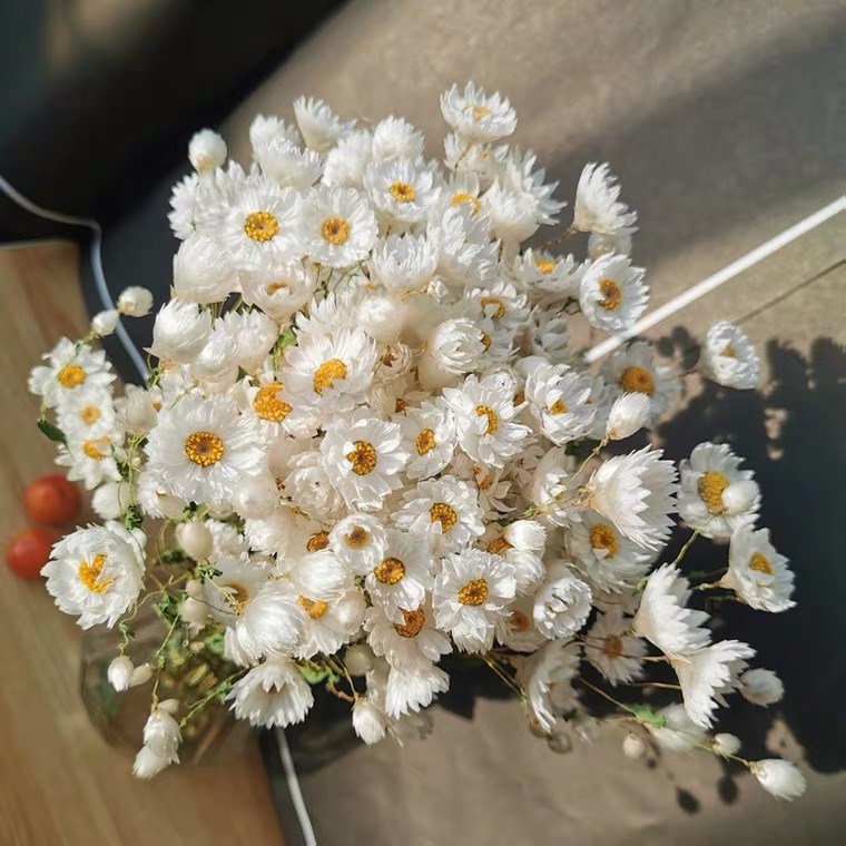 naturalreallyflowerdriedflowersshecherzbirdlittle