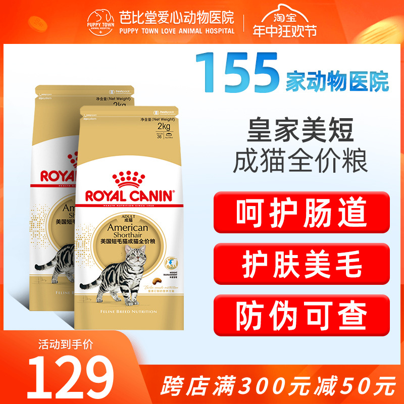 皇家ASA31 美短成猫猫粮食品2