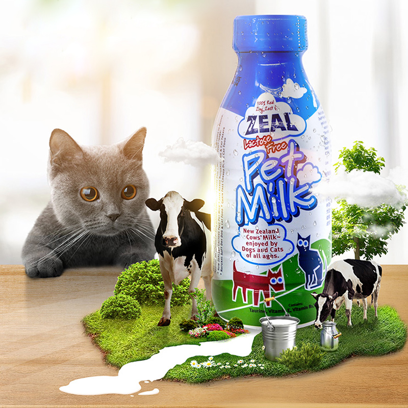 New Zealand zeal Pets Imported milk 380ml Dedicated Dogs Puppies Kittens Calcium supplement snacks sincerein the Pet/Pet food and supplies , Dog snacks category - from Buy2taobao.com to provide professional Taobao agent buy service