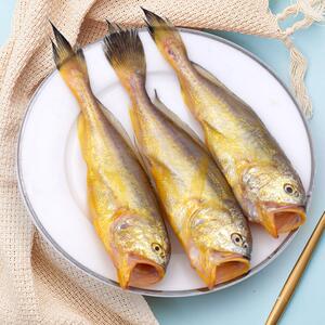 黄梅鱼150061504斤装宁波舟山野生小黄鱼大黄鱼18006180舟山小