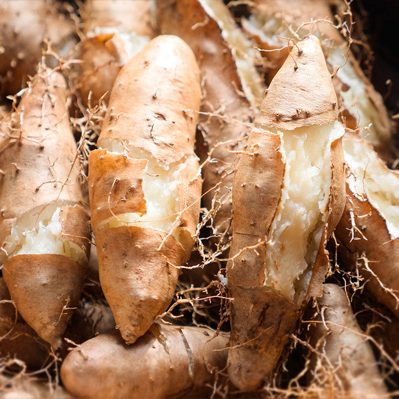 广东新鲜毛薯5斤火苕脚板薯田薯粉糯香山药芋头