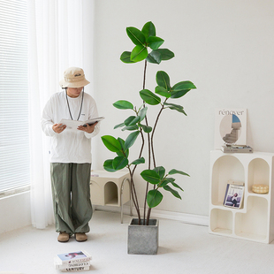 仿真绿植橡皮树落地盆栽仿生植物摆件室内客厅沙发旁装饰盆景假树