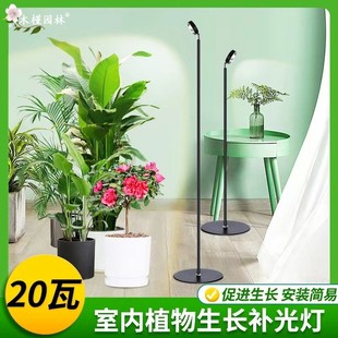 植物补光灯 月季生长灯全光谱室内家用光合作用花卉LED仿太阳光照