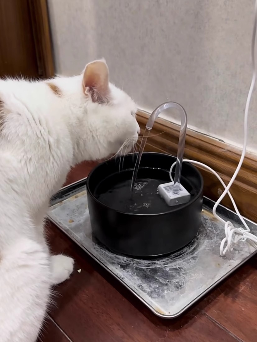 usb小水泵猫咪饮水机潜水泵低压直流5v小型迷你水泵小盆景循环泵