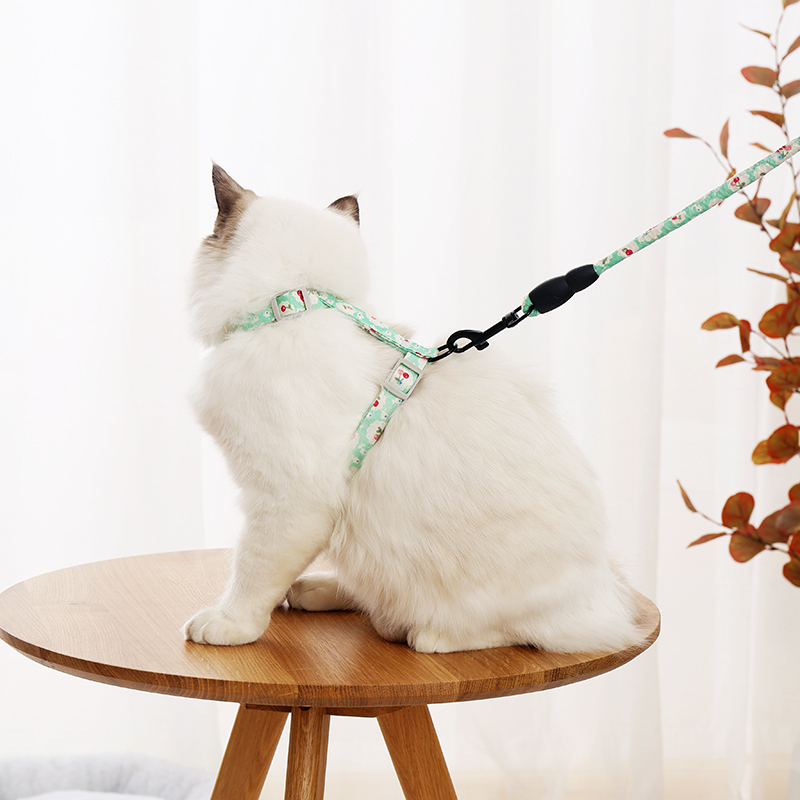 溜猫绳防挣脱家用牵猫绳拴猫绳猫咪专用牵引绳溜猫绳子猫链子外出