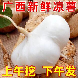 广西凉薯新鲜现挖白心地瓜沙葛水果蔬菜农家番薯即食脆甜10斤中果