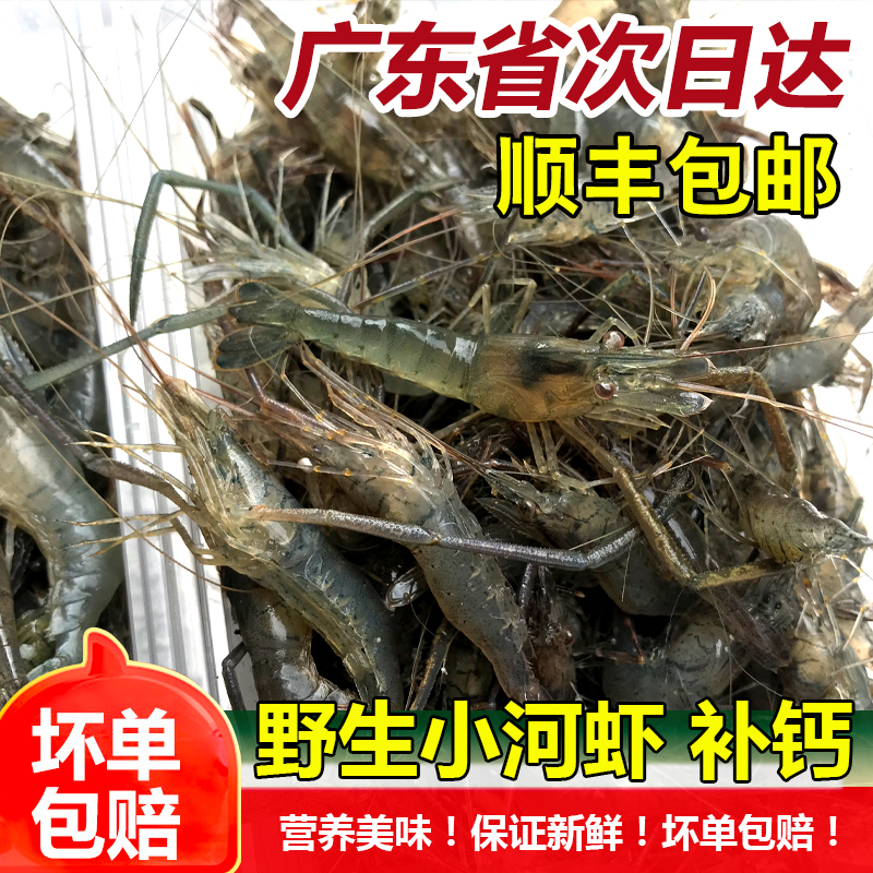 河虾鲜活新鲜冷冻海鲜水产狗仔虾仁青