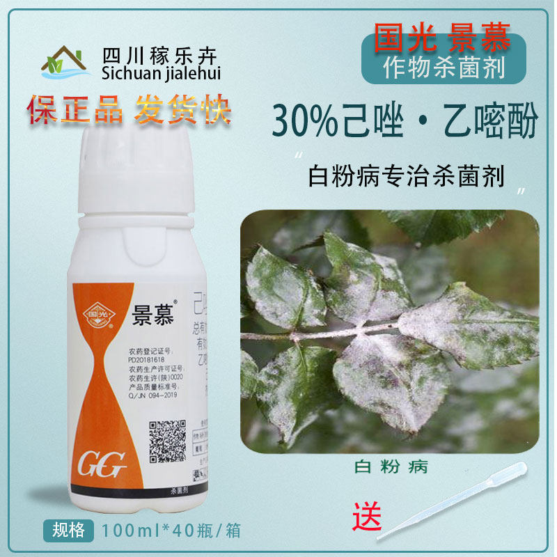 国光景慕己唑醇乙嘧酚草坪花卉苗木月季黄杨抗性白粉锈病杀菌剂