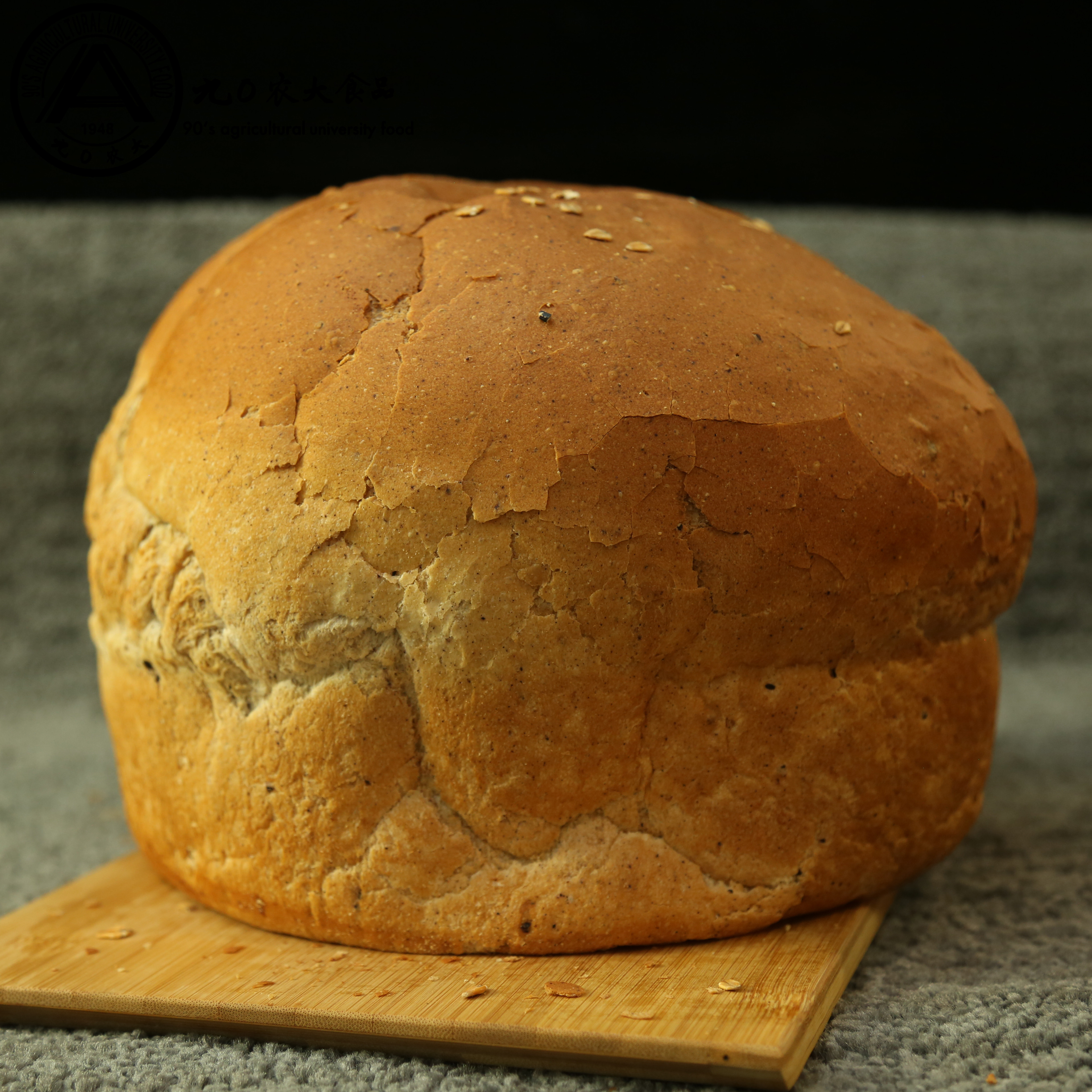 大列巴面包俄罗斯包邮 手工大额优惠券