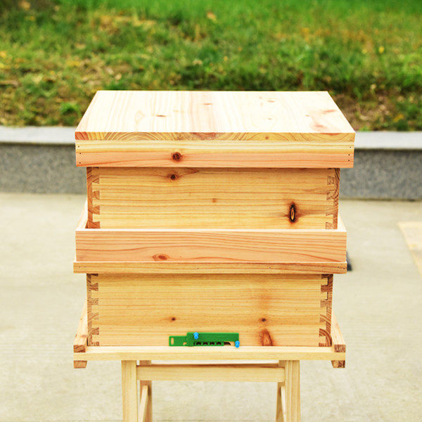 全套中蜂蜂箱gn蜂箱中蜂适合土蜂土养龚老师养蜂箱蜜蜂箱养蜂工具