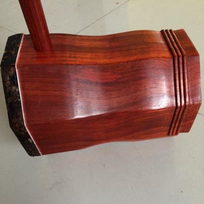 乐器厂家直销初学者正品入门红色花梨木大音量专业高档二胡乐器龙头凤