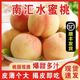 正宗上海南汇水蜜桃新鲜水果特大果礼盒装顺丰包邮当季大团特产甜