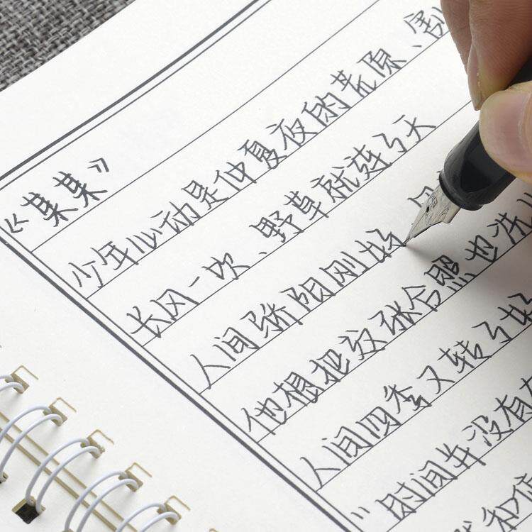 体漂亮练字成年男硬笔书法网易云文案清新大气挽鸢鲸落手写体楷书钢笔