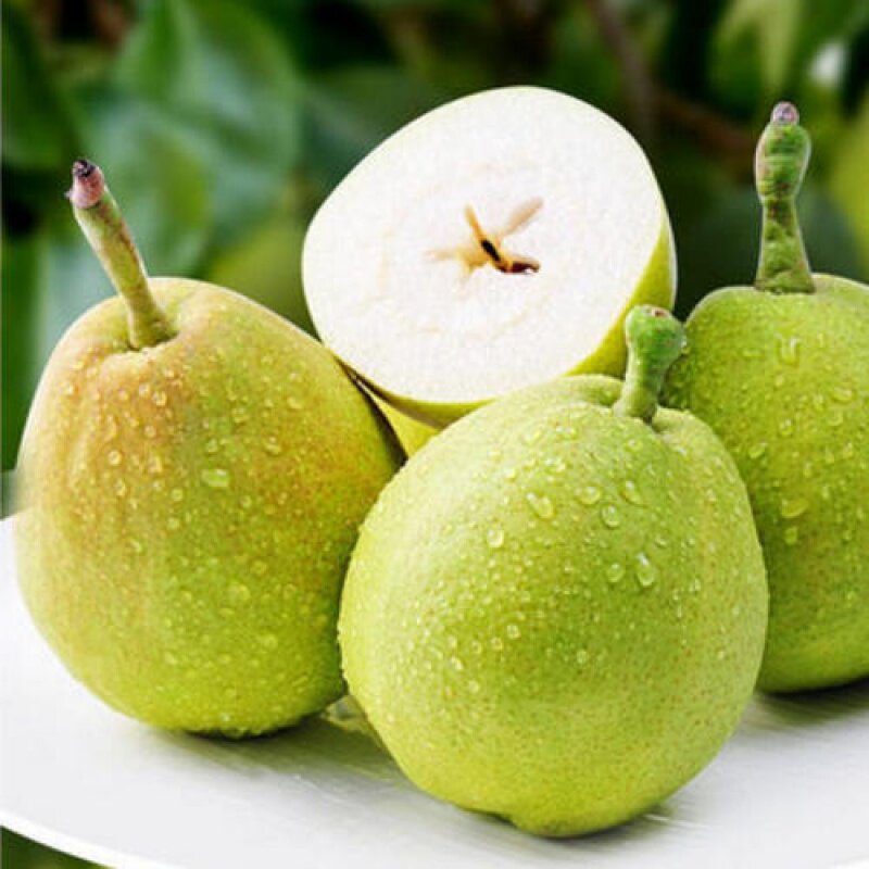 新疆库尔勒香梨5斤新鲜现摘现发水果招孕妇免削皮吃当季整箱