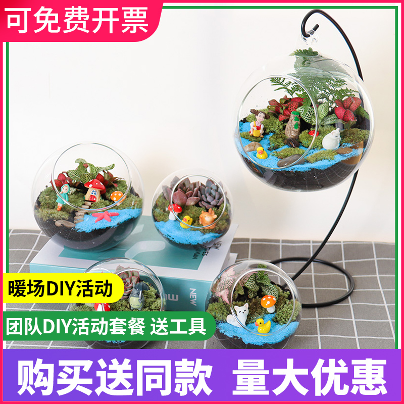 多肉微景观diy材料苔藓桌面微景观生态瓶迷你盆栽植物手工摆件