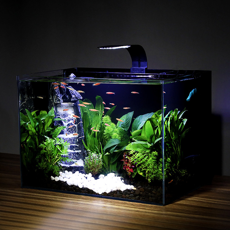 超白玻璃生态鱼缸水族箱自循环免换水客厅电视柜家用桌面生态草缸