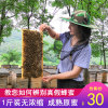 honey Farm Production Acacia honey Vitex honey 500g pure Acacia honey Hill nectar Soil honey honey Farm Production Acacia honey Vitex honey 500g pure Acacia honey Hill nectar Soil honey