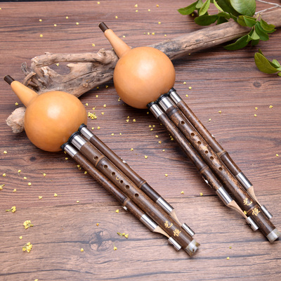 单肚葫芦丝图片