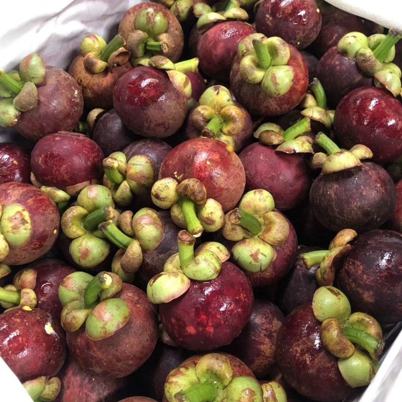 一折山竹 新鲜 水果免运费10斤